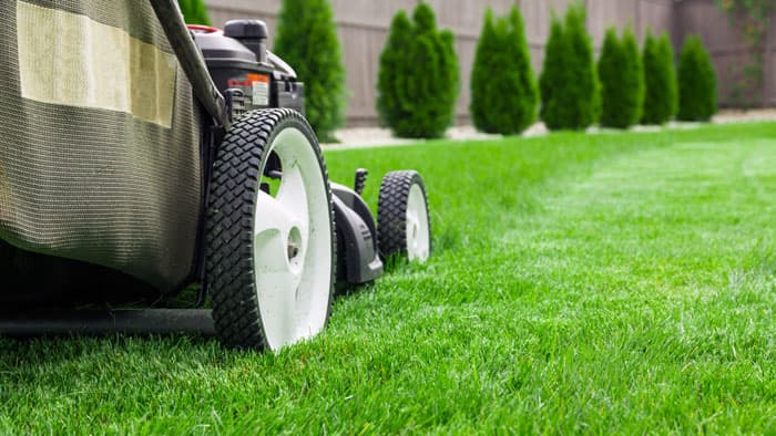 Lawn Care in Chandler, Arizona